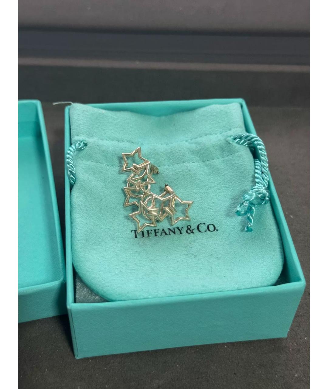 TIFFANY&CO Серебряные серебряные серьги, фото 6