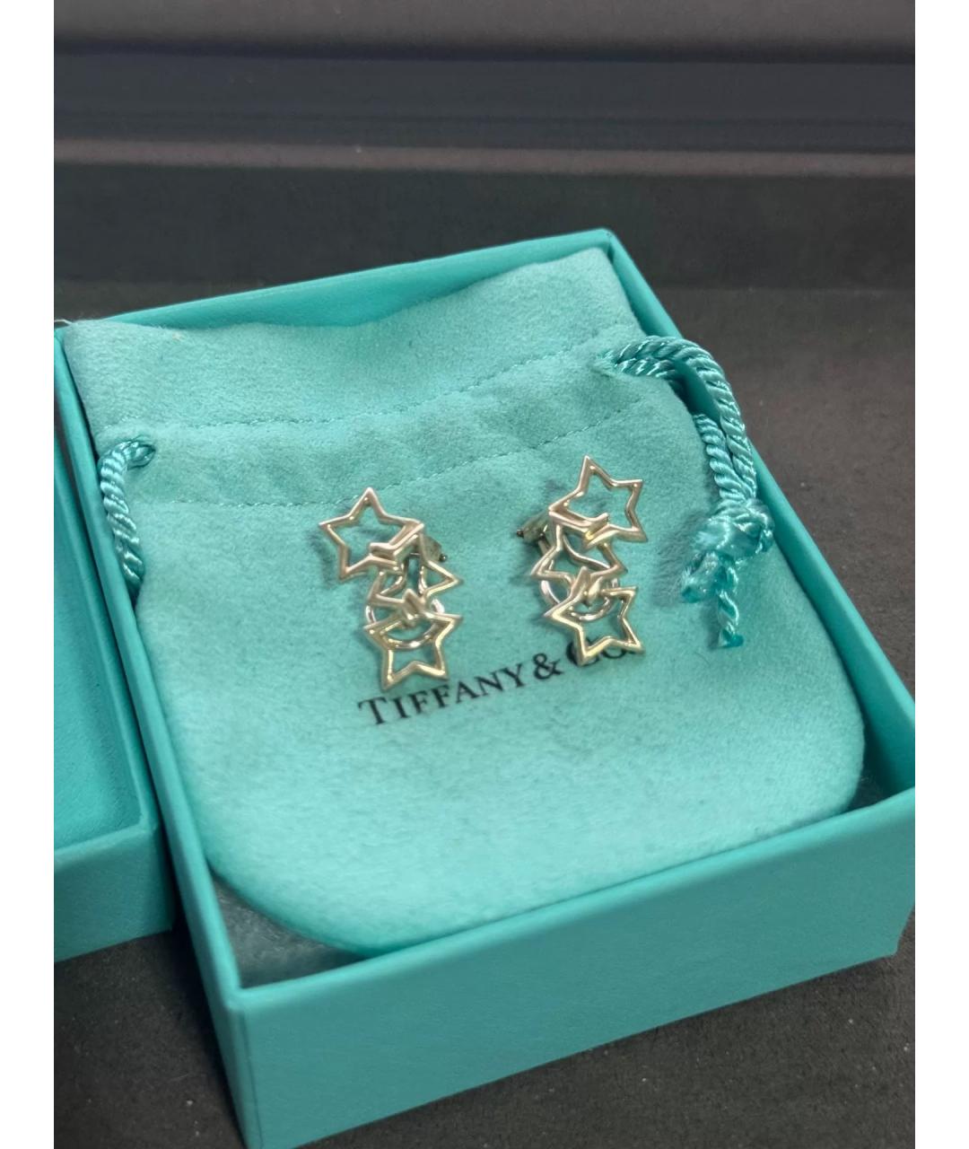 TIFFANY&CO Серебряные серебряные серьги, фото 2