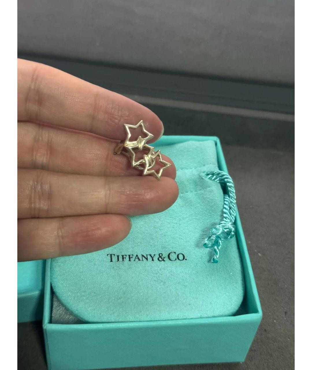 TIFFANY&CO Серебряные серебряные серьги, фото 4