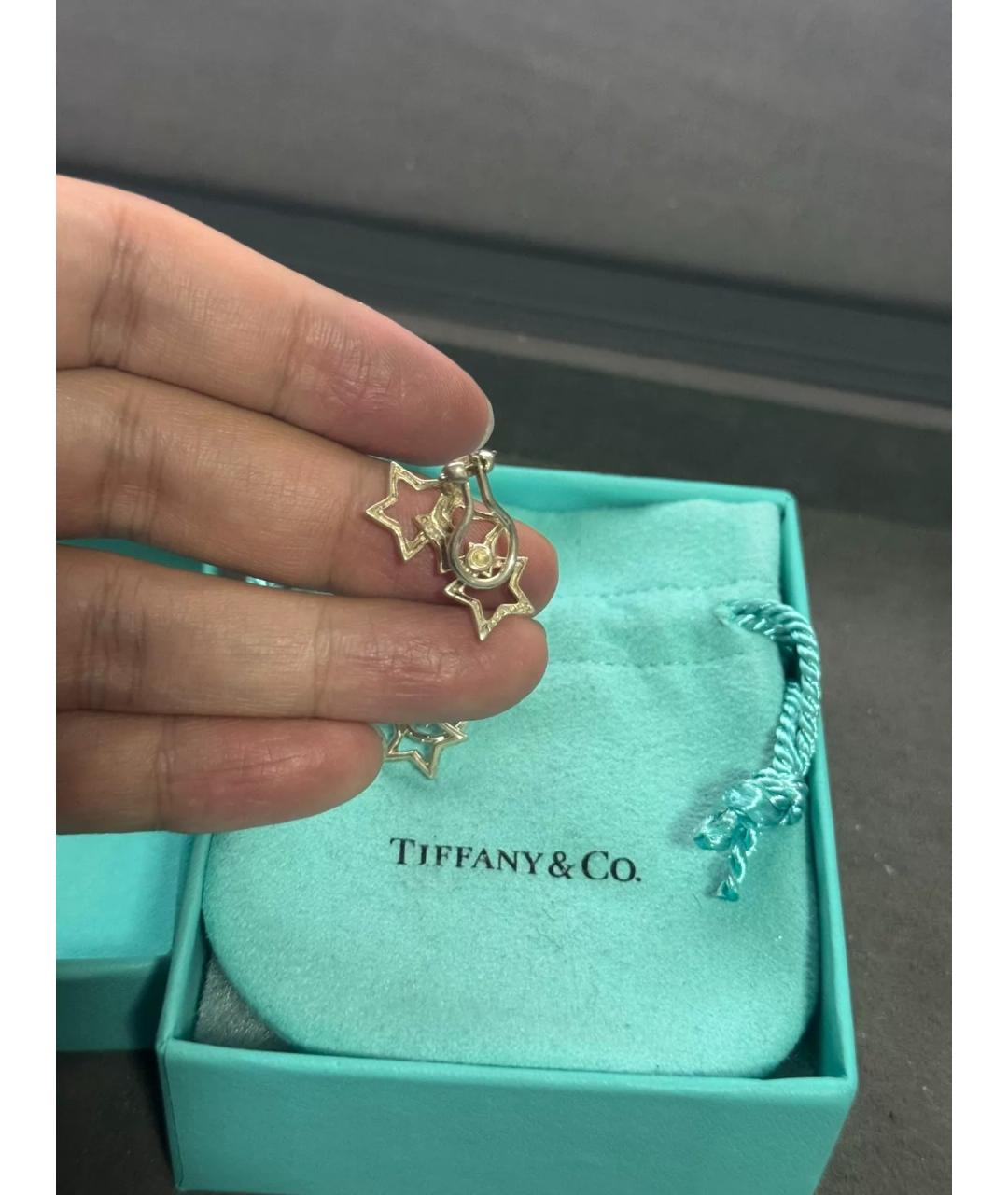 TIFFANY&CO Серебряные серебряные серьги, фото 5