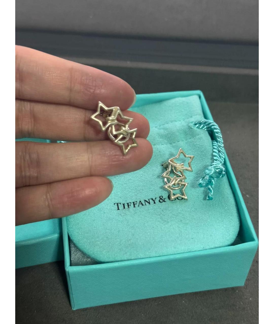 TIFFANY&CO Серебряные серебряные серьги, фото 3