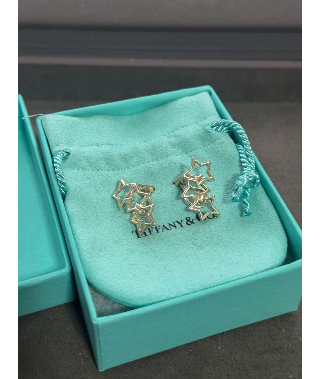 TIFFANY&CO Серебряные серебряные серьги, фото 7