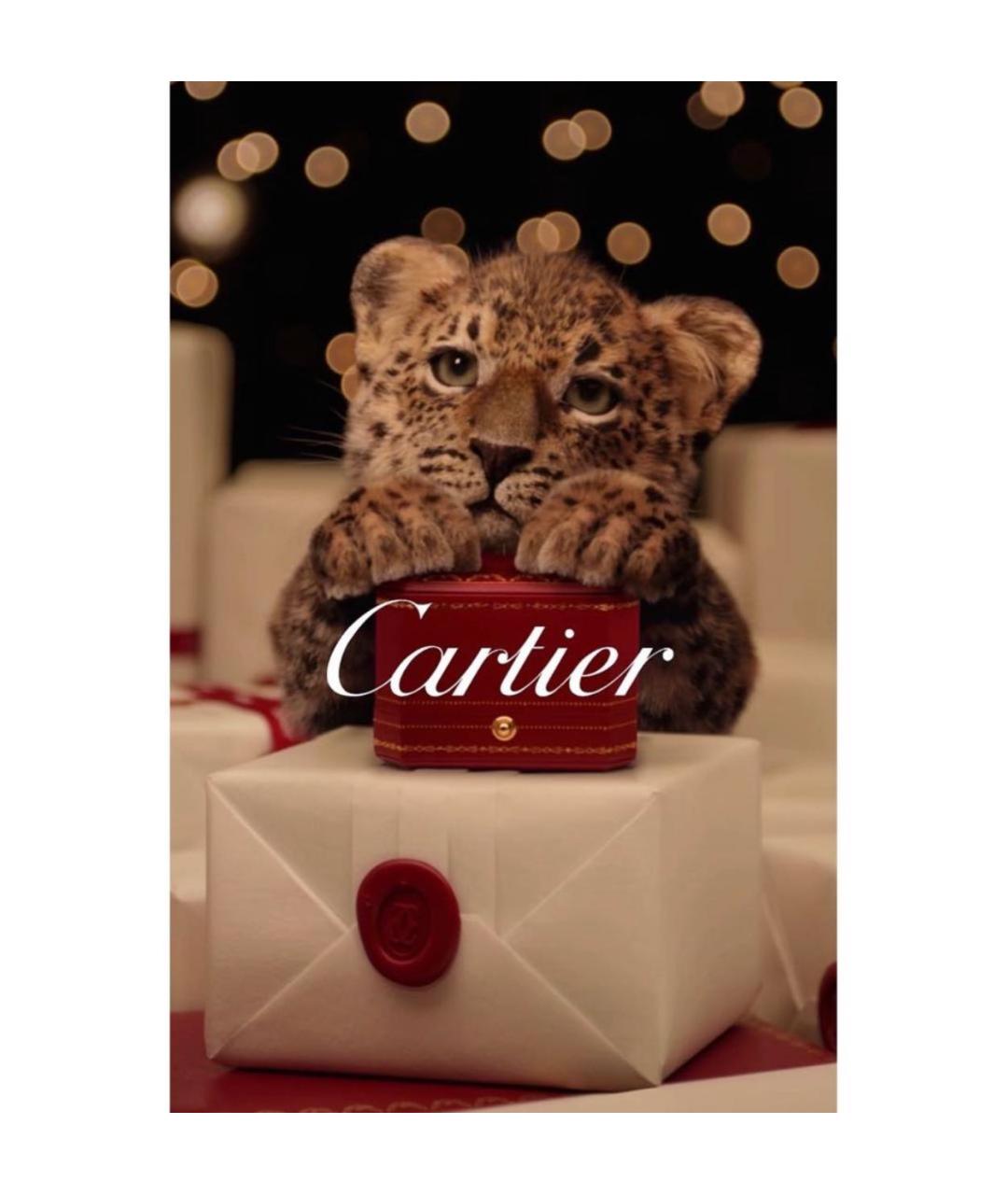 CARTIER Серебряная книга, фото 7