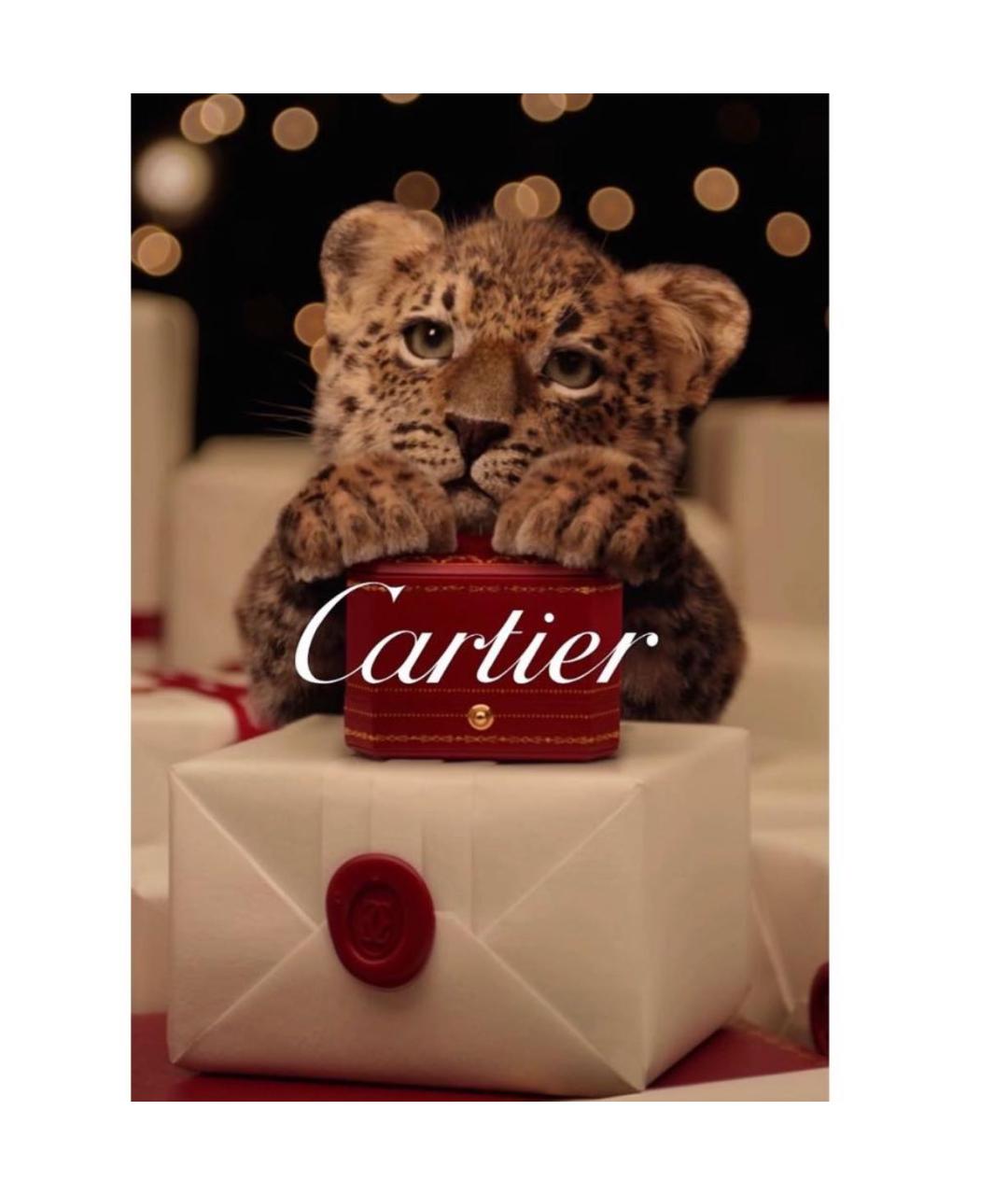 CARTIER Мульти книга, фото 8