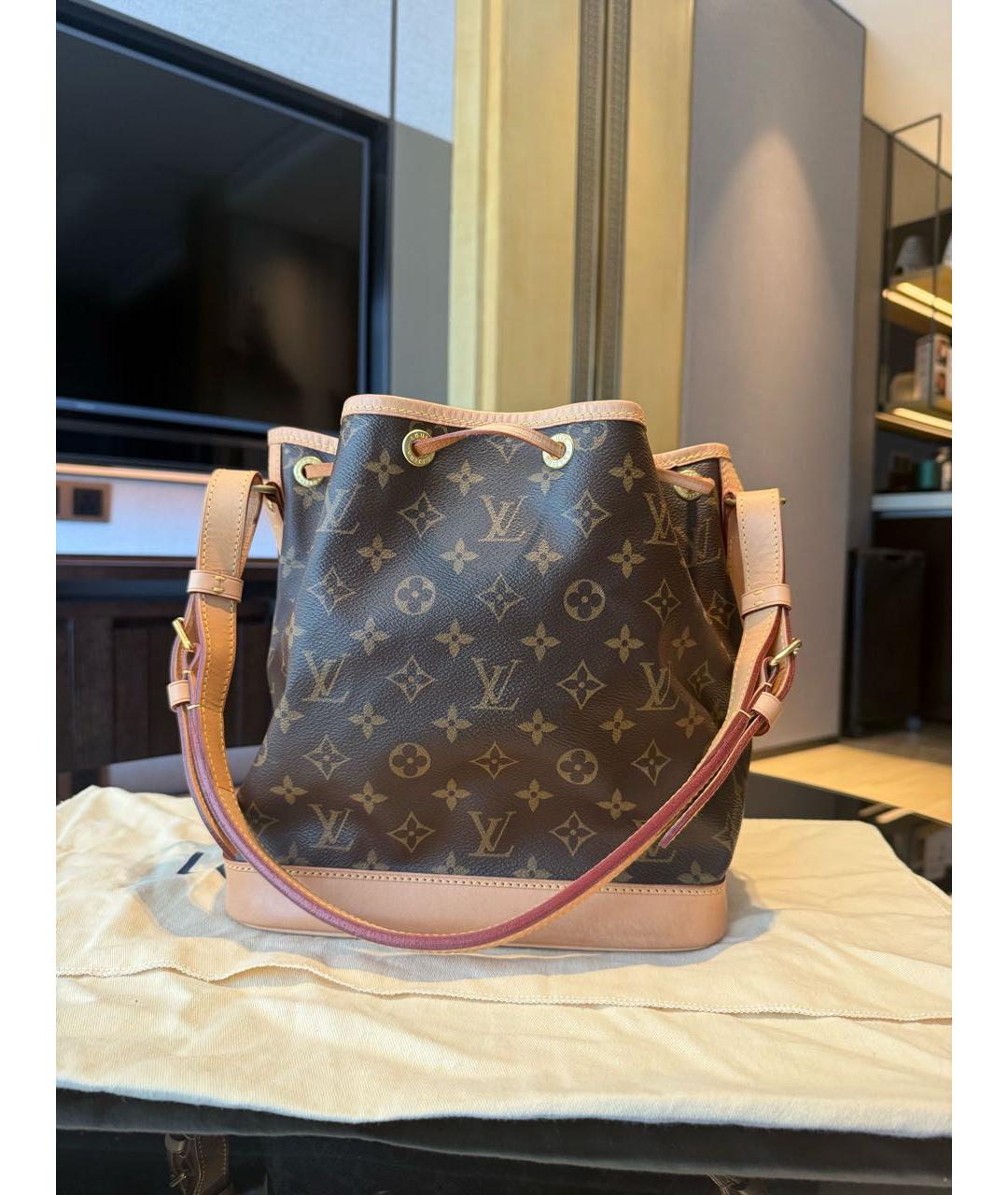 LOUIS VUITTON Коричневая кожаная сумка тоут, фото 2