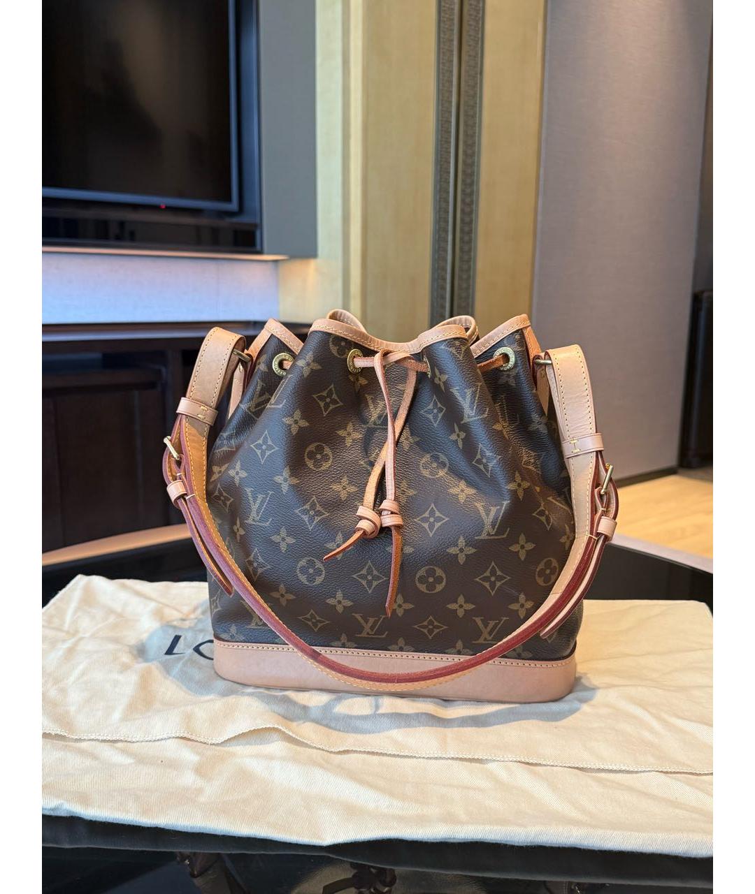 LOUIS VUITTON Коричневая кожаная сумка тоут, фото 9