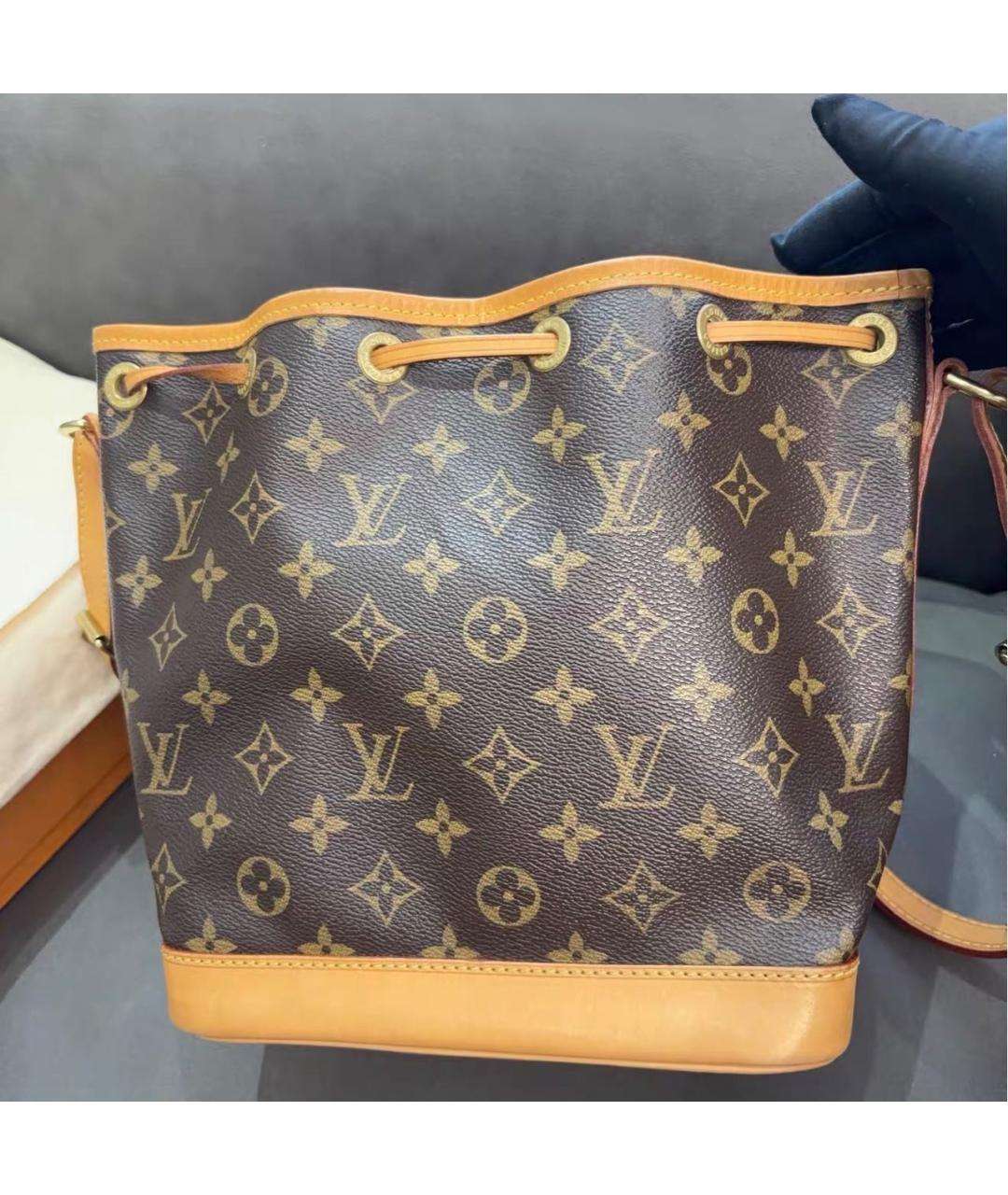 LOUIS VUITTON Коричневая кожаная сумка тоут, фото 2