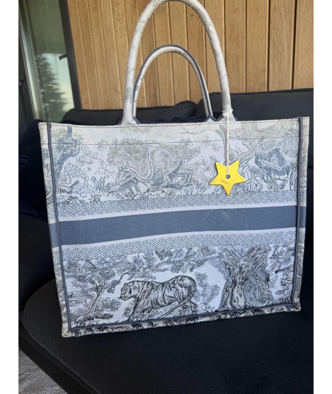 CHRISTIAN DIOR Серая сумка тоут, фото 2