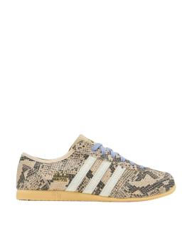 ADIDAS Низкие кроссовки / кеды