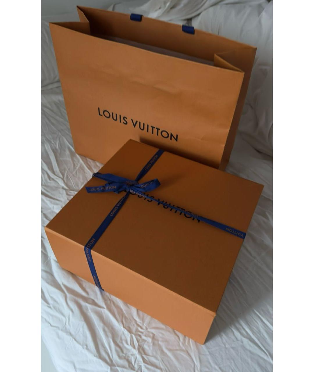 LOUIS VUITTON Коричневая сумка с короткими ручками из канвы, фото 2