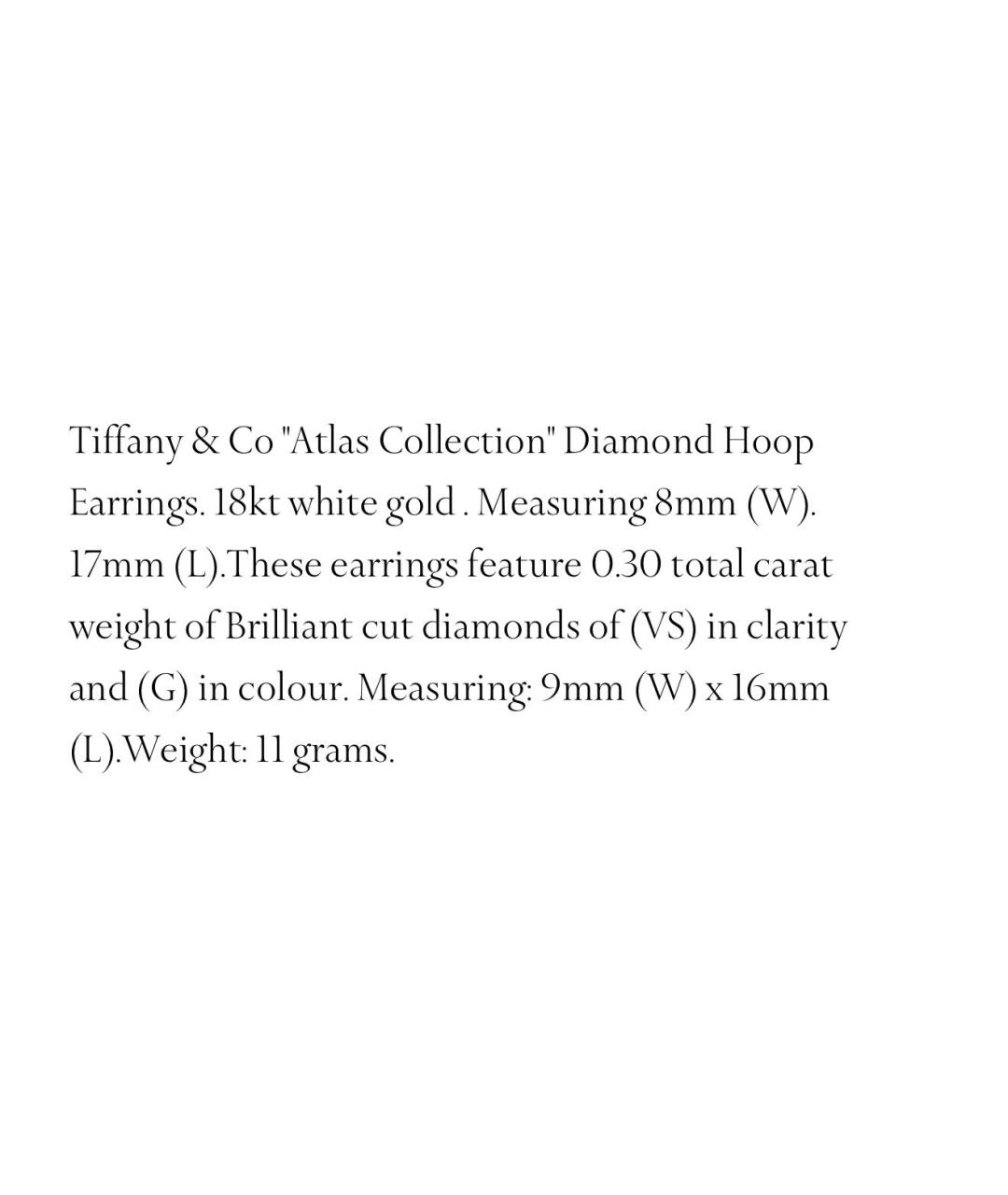TIFFANY&CO Серые серьги из белого золота, фото 4