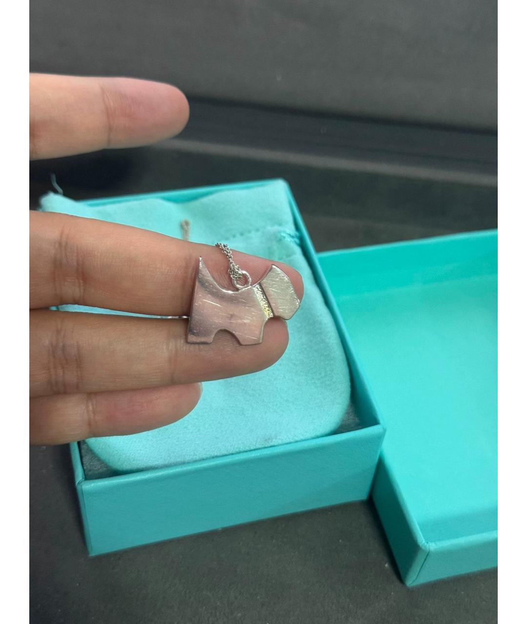 TIFFANY&CO Серебряная серебряная подвеска, фото 5