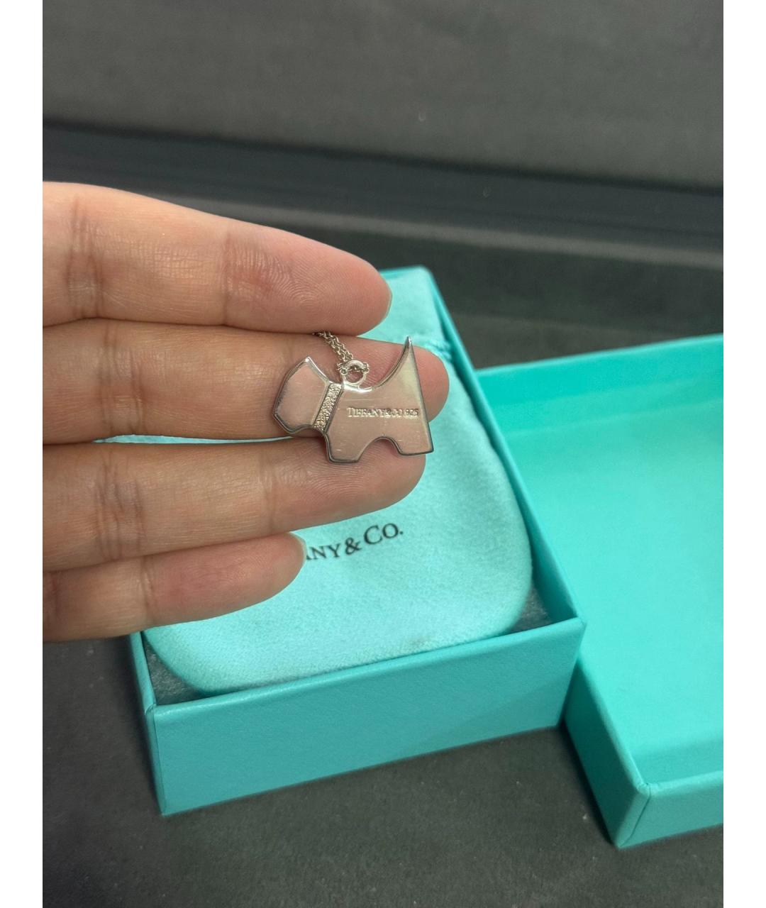 TIFFANY&CO Серебряная серебряная подвеска, фото 3