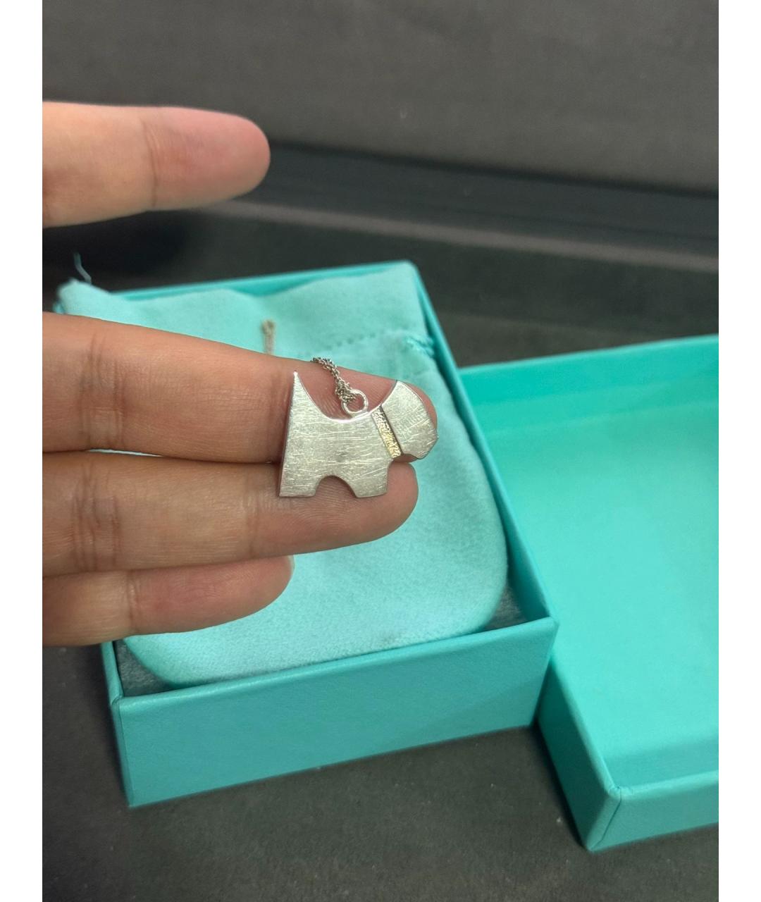 TIFFANY&CO Серебряная серебряная подвеска, фото 4