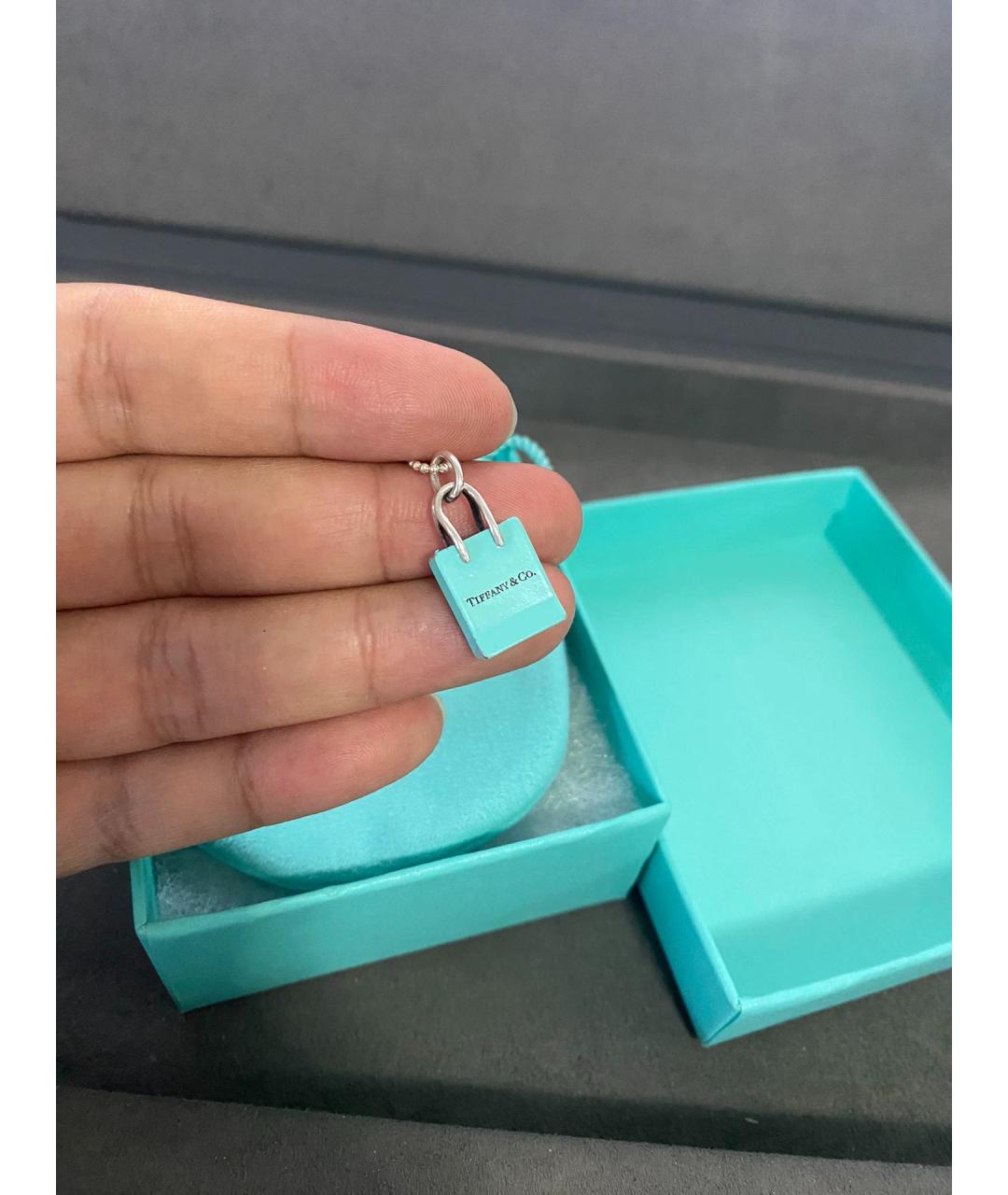 TIFFANY&CO Синяя серебряная цепочка, фото 3