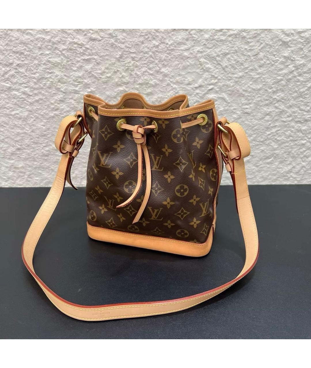 LOUIS VUITTON Коричневая сумка тоут из канвы, фото 7
