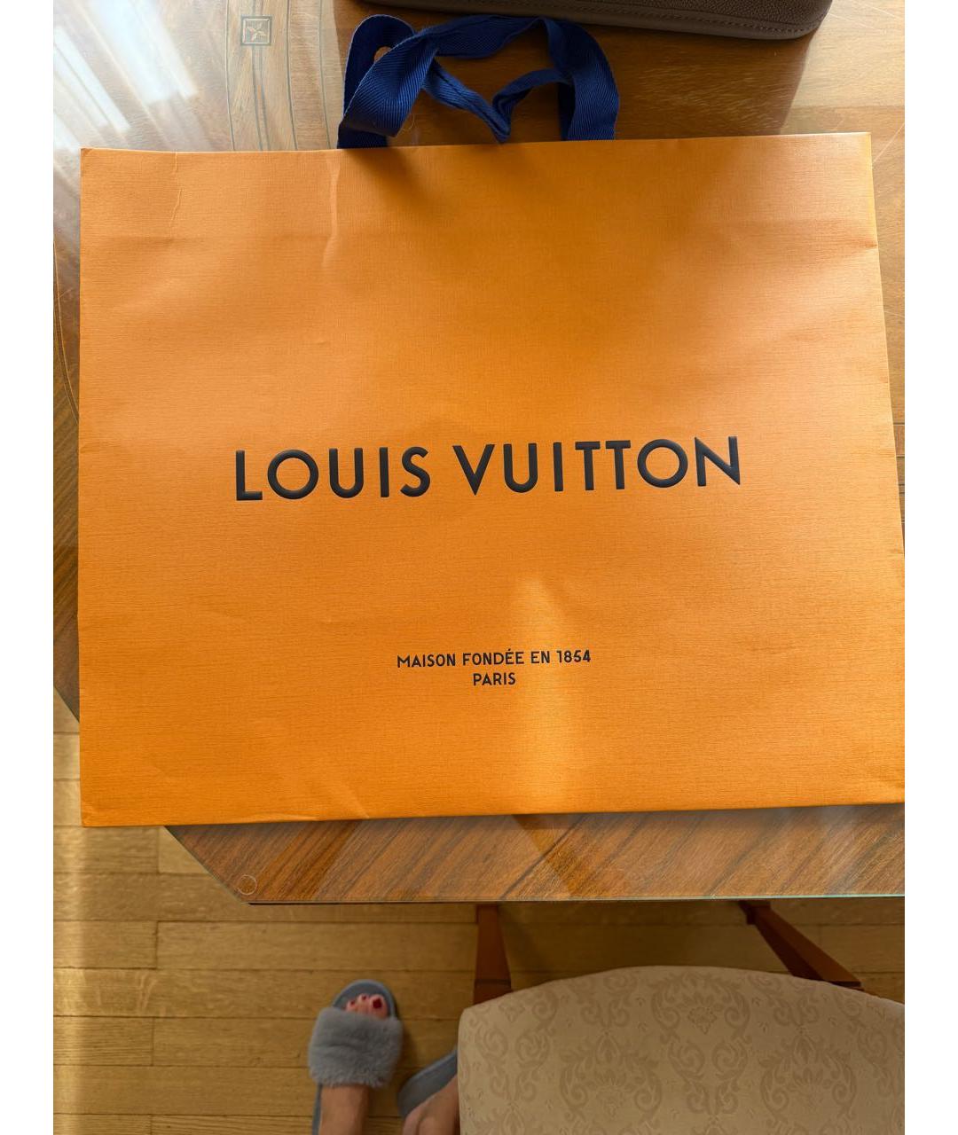 LOUIS VUITTON Серая кожаная сумка тоут, фото 7