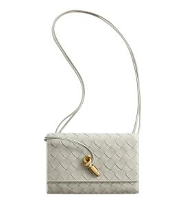 BOTTEGA VENETA Клатч/вечерняя сумка