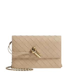 BOTTEGA VENETA Клатч/вечерняя сумка