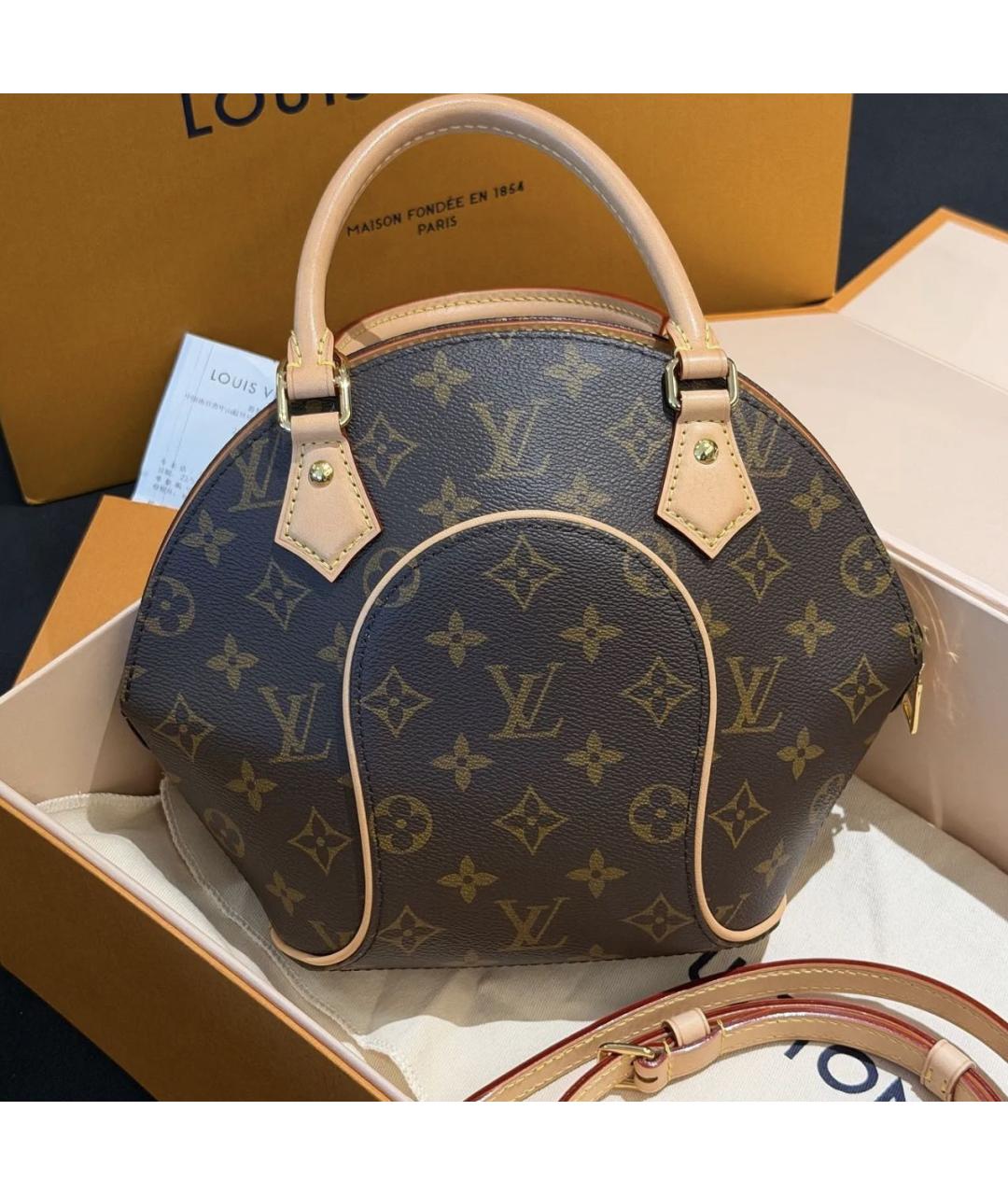 LOUIS VUITTON Коричневая сумка с короткими ручками из канвы, фото 9