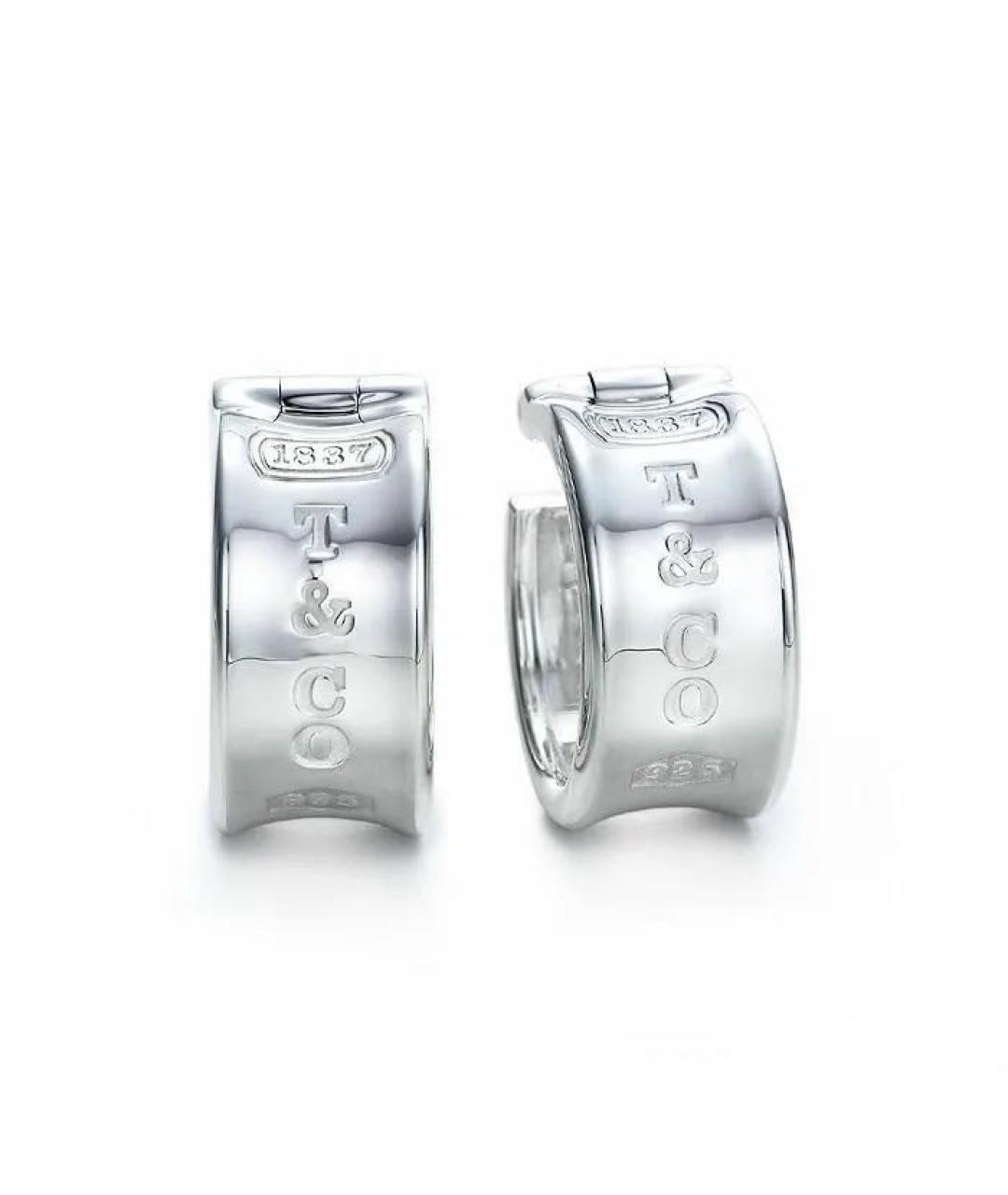 TIFFANY&CO Серебряные серебряные серьги, фото 1