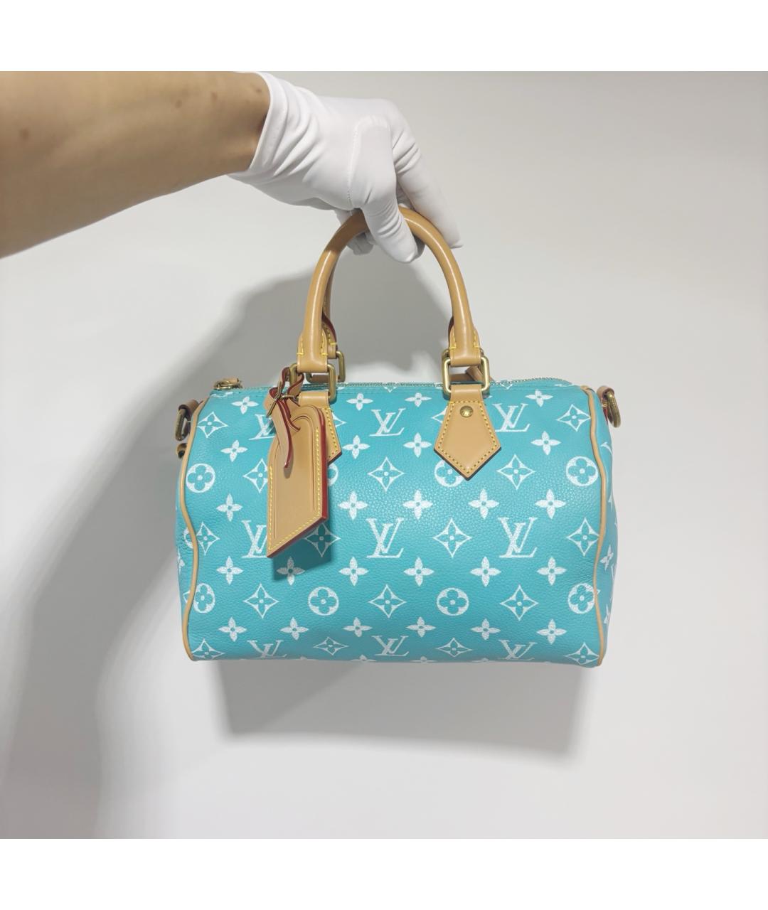 LOUIS VUITTON Бирюзовая сумка с короткими ручками из канвы, фото 10