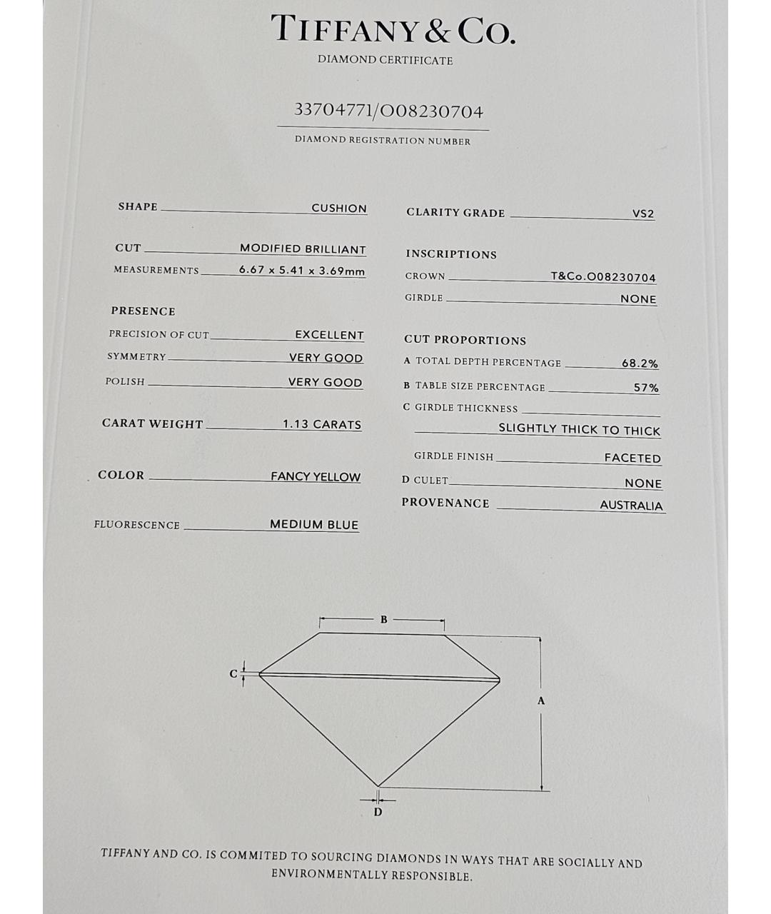 TIFFANY&CO Золотое колье из желтого золота, фото 4