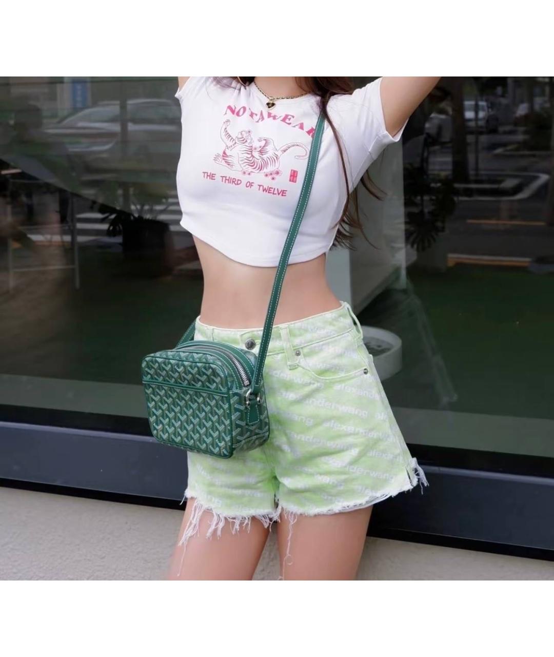 GOYARD Зеленая сумка на плечо из канвы, фото 4