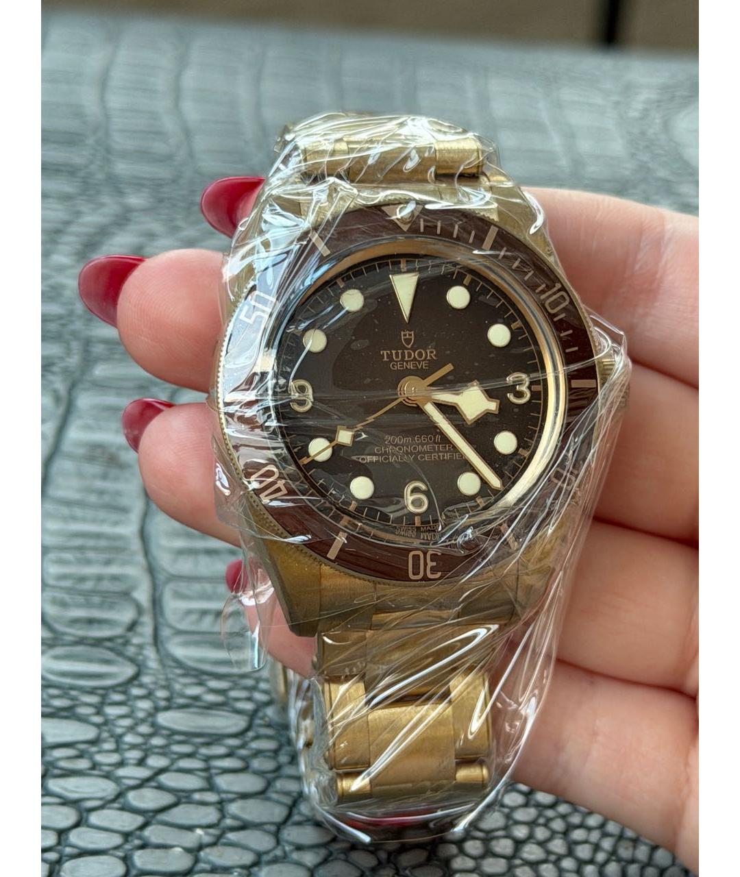TUDOR Коричневые часы, фото 2