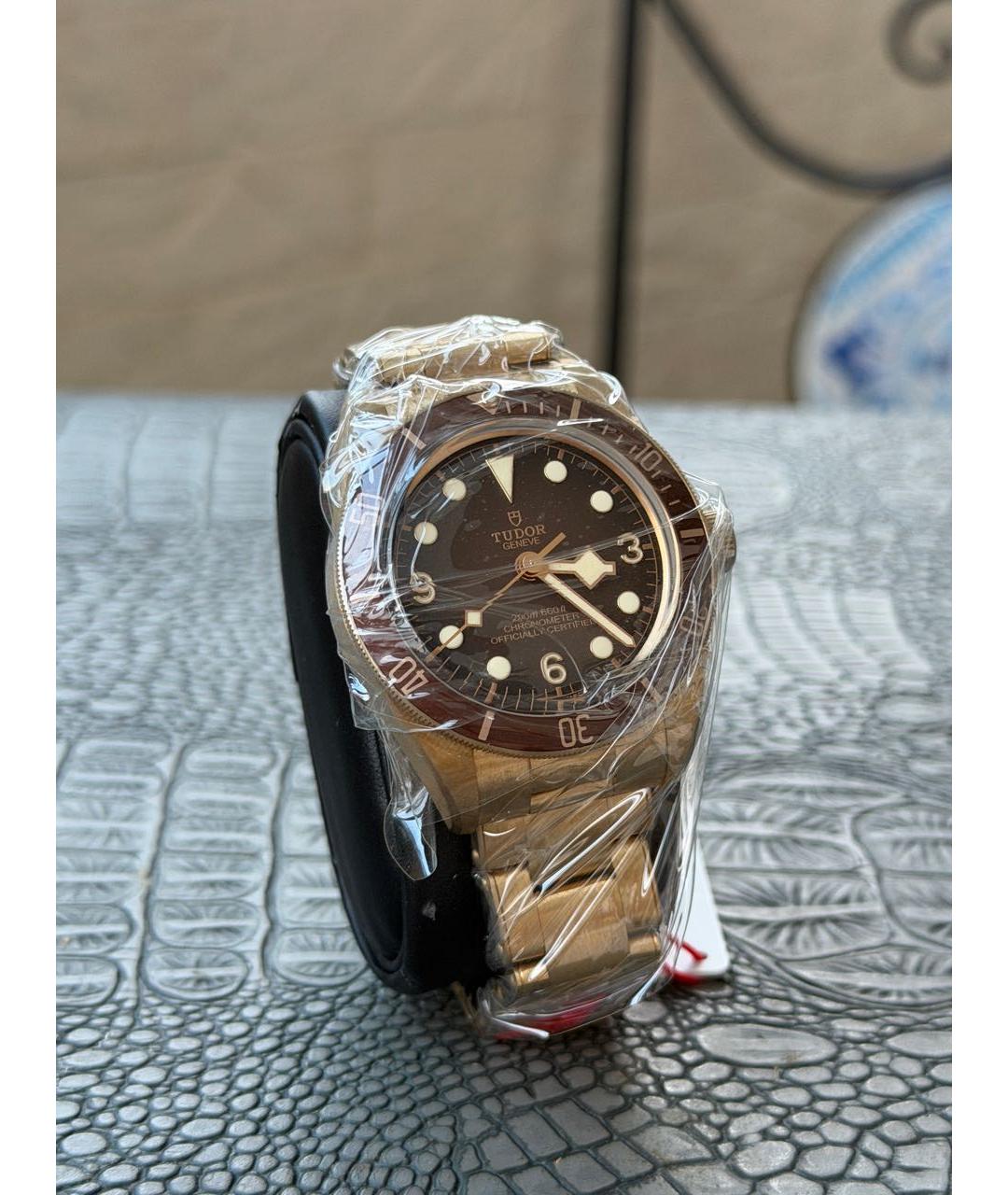TUDOR Коричневые часы, фото 5