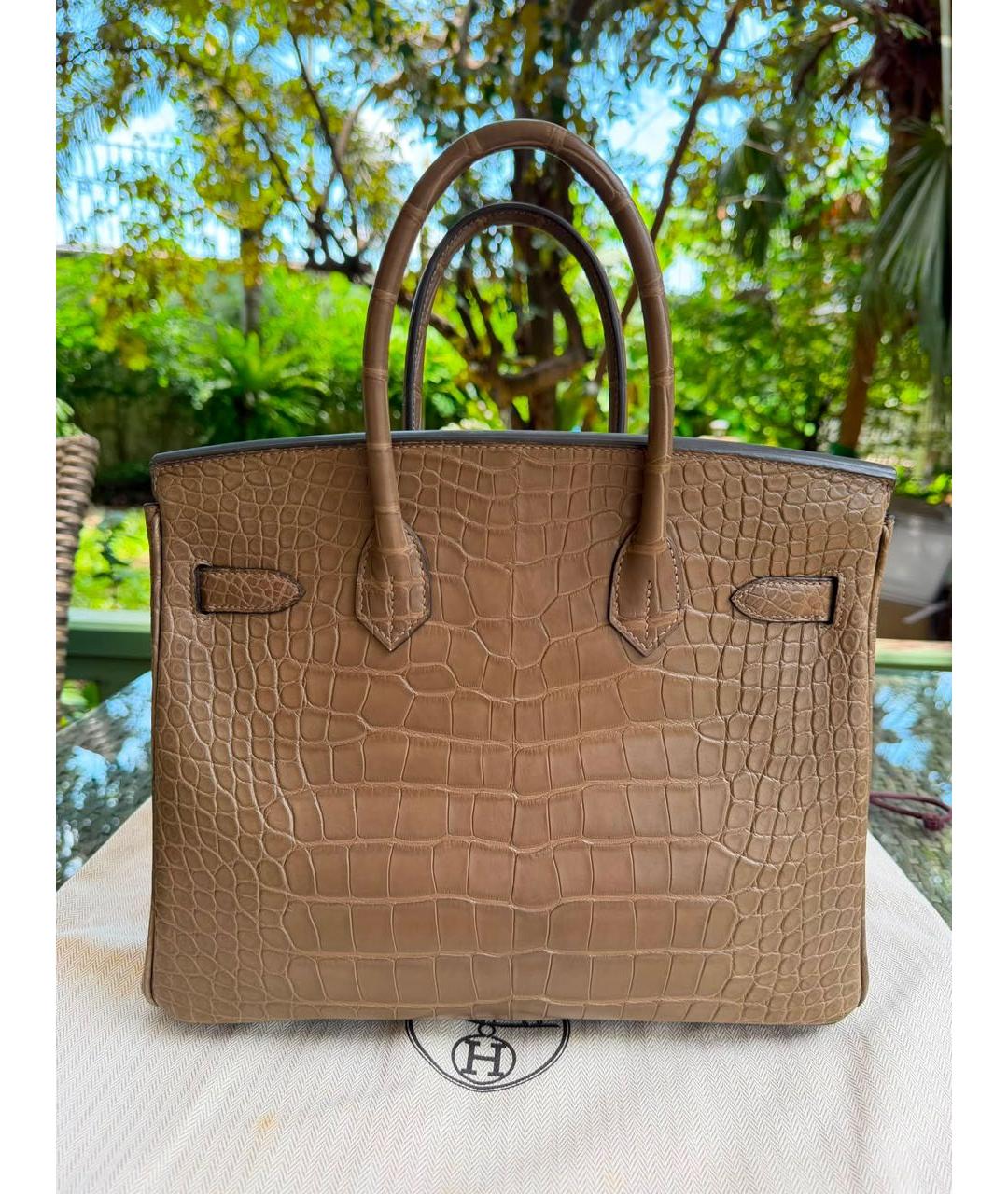 HERMES Коричневая сумка с короткими ручками из экзотической кожи, фото 4