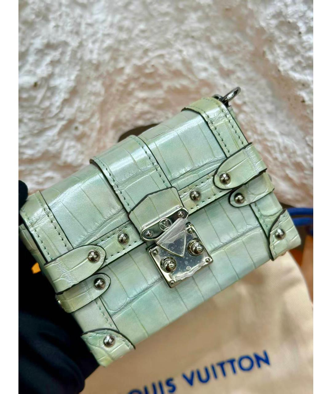 LOUIS VUITTON Зеленая сумка через плечо, фото 6