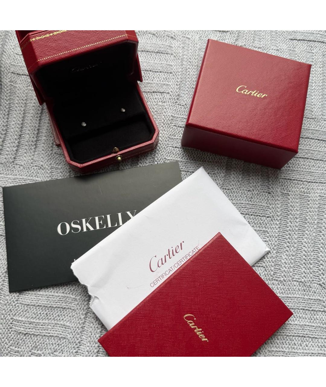 CARTIER Серебряные серьги из белого золота, фото 2