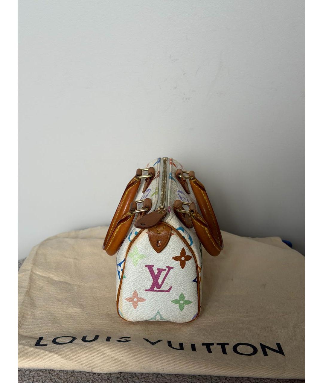 LOUIS VUITTON Мульти сумка через плечо из канвы, фото 5