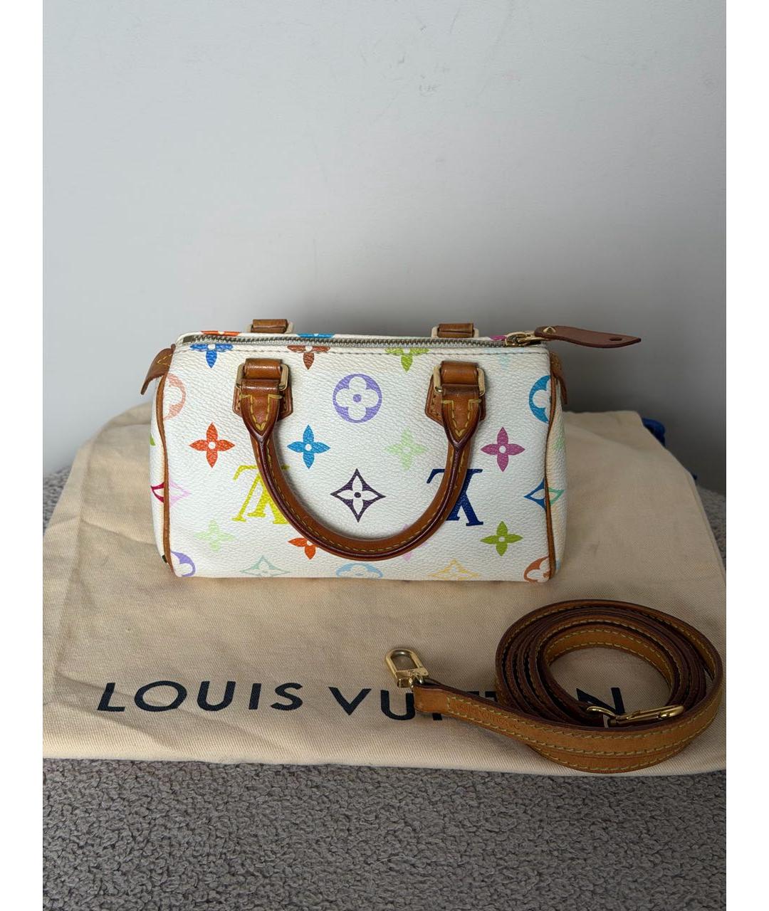 LOUIS VUITTON Мульти сумка через плечо из канвы, фото 3