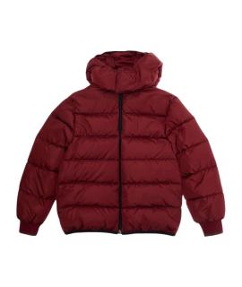 GUCCI Верхняя одежда