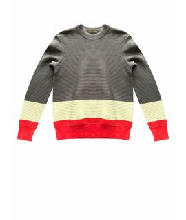 LOUIS VUITTON Джемпер / свитер
