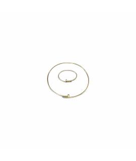 CARTIER Комплект