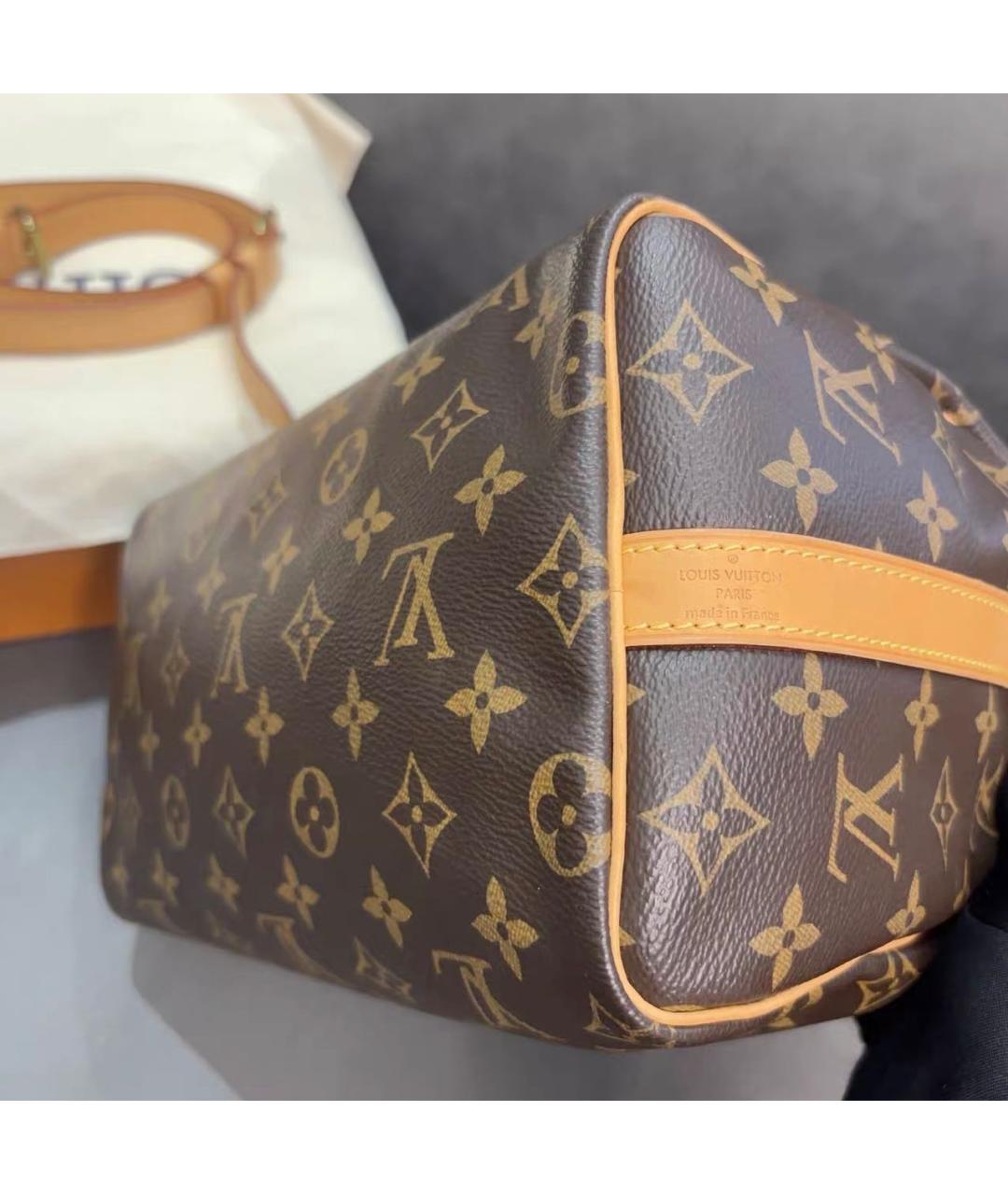 LOUIS VUITTON Коричневая сумка с короткими ручками из канвы, фото 6