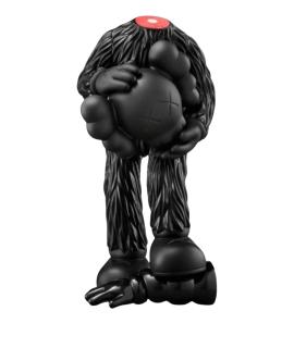 KAWS Другое
