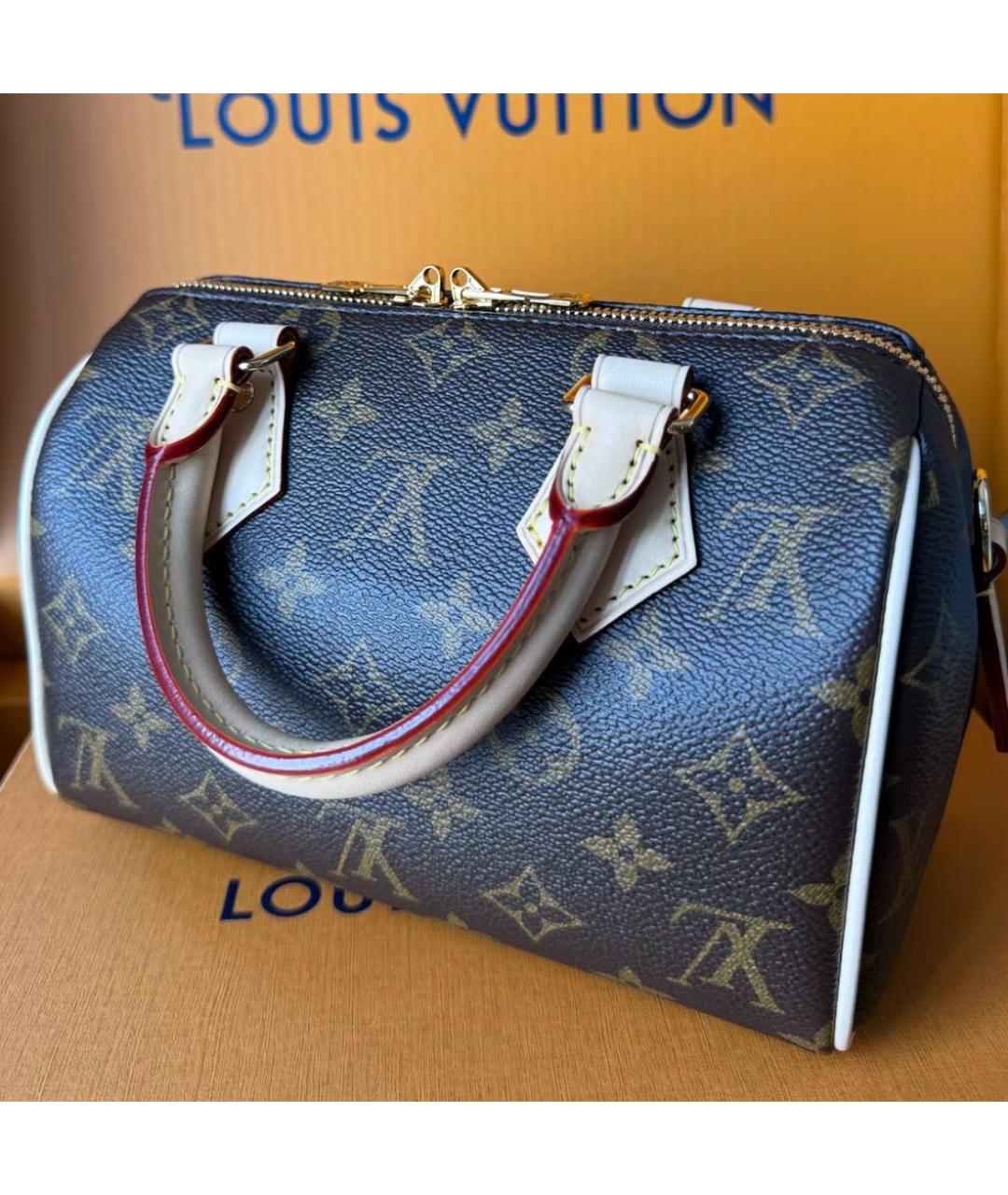 LOUIS VUITTON Коричневая сумка с короткими ручками из канвы, фото 4