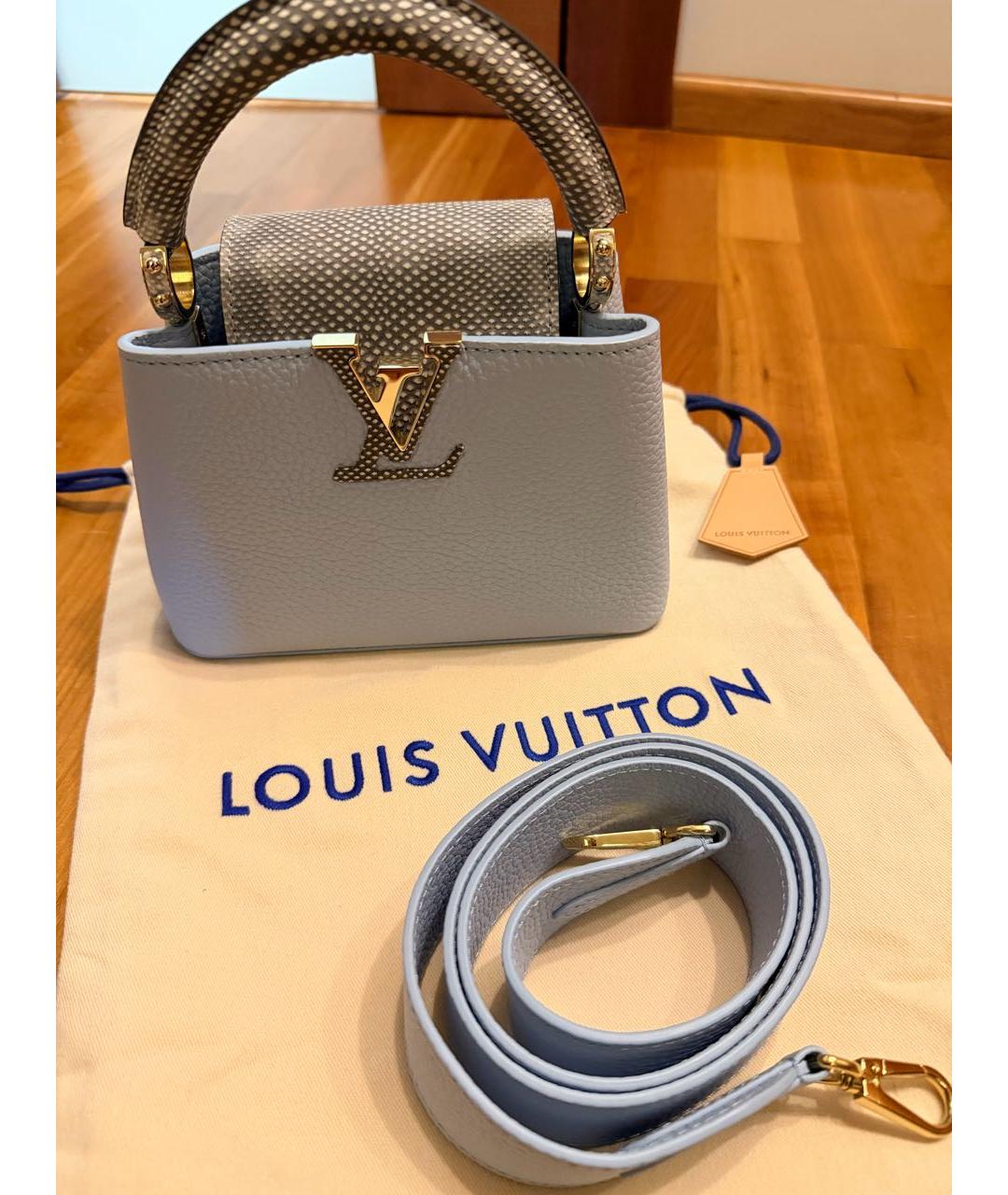 LOUIS VUITTON Голубая кожаная сумка с короткими ручками, фото 2