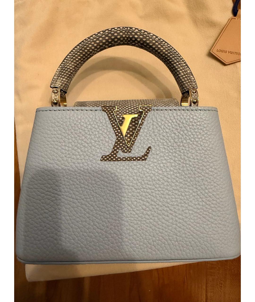 LOUIS VUITTON Голубая кожаная сумка с короткими ручками, фото 8