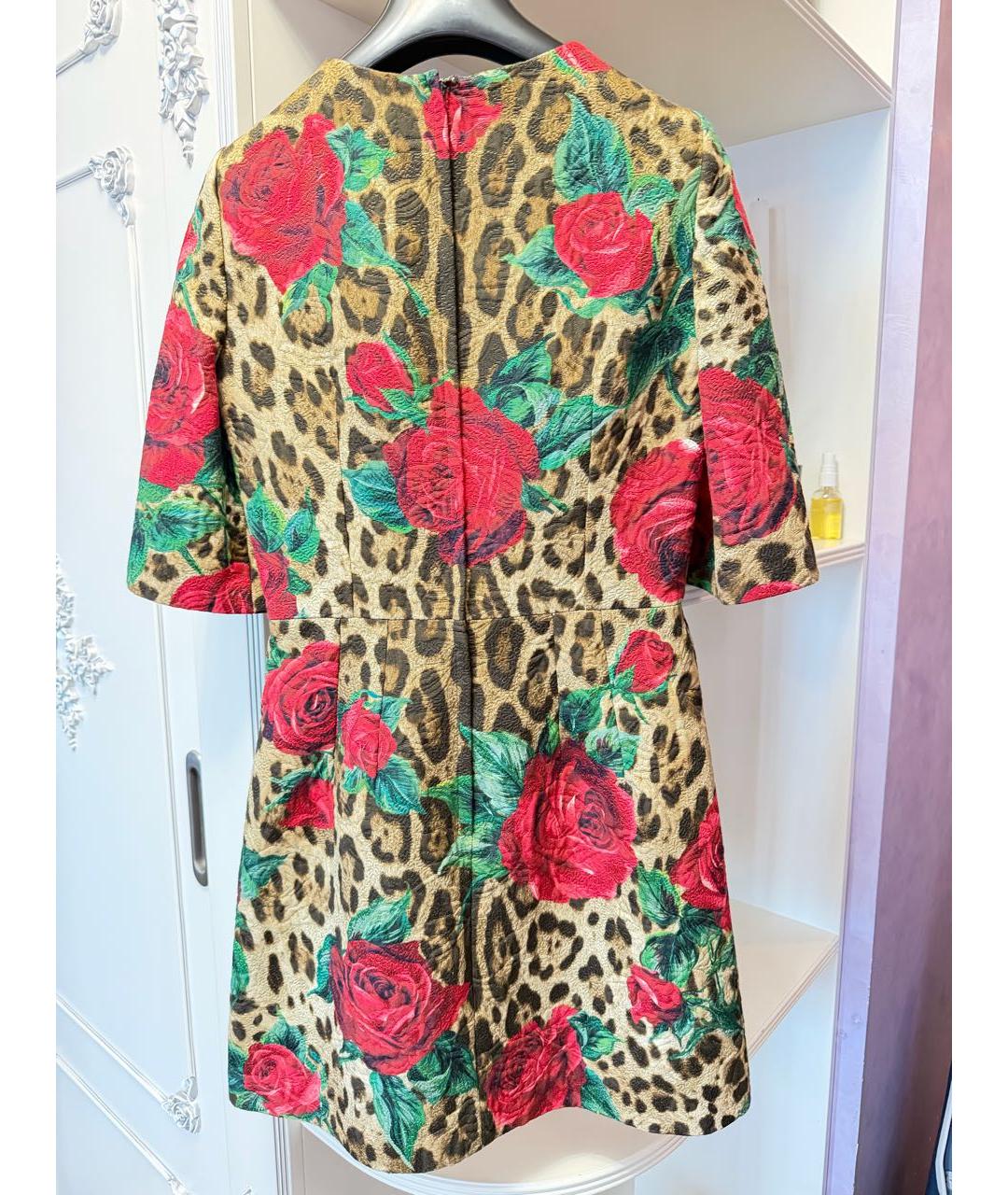 DOLCE&GABBANA Коричневое хлопковое повседневное платье, фото 2
