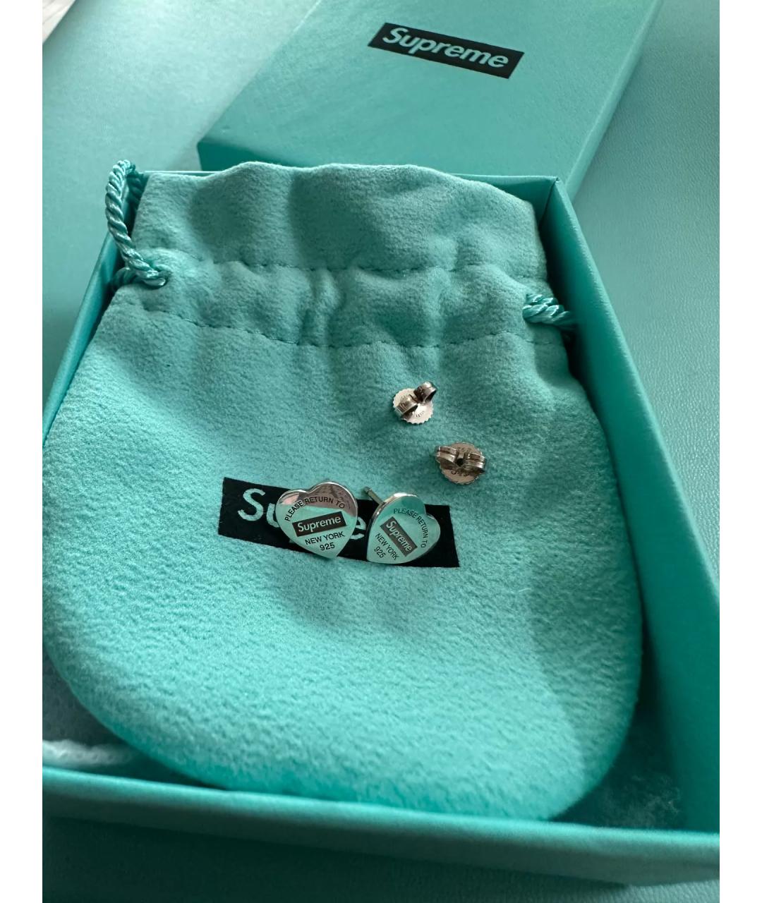 TIFFANY&CO Серебряные серебряные серьги, фото 10