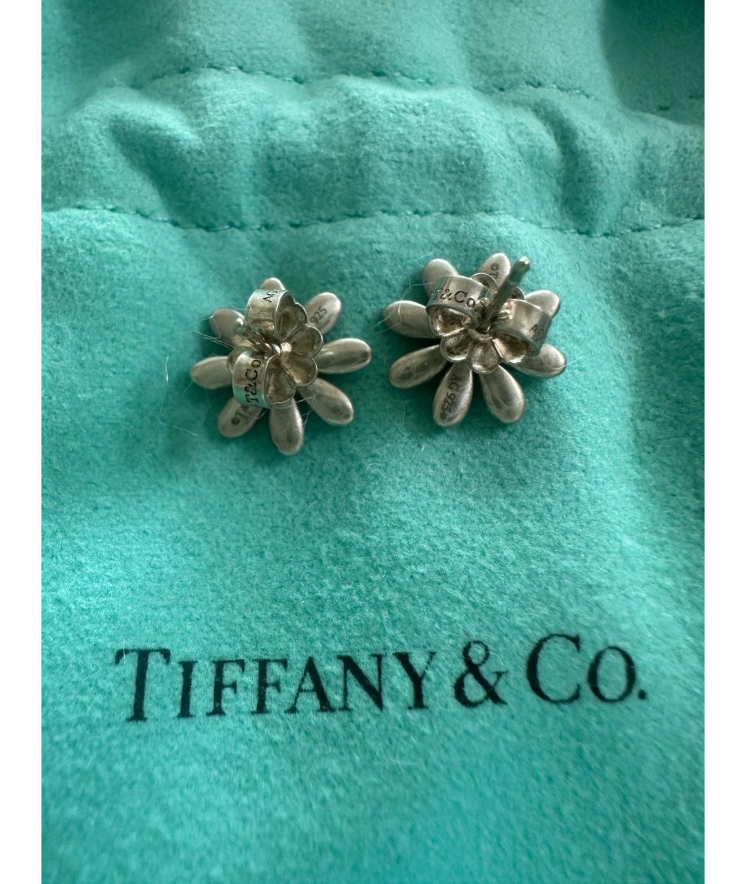 TIFFANY&CO Серебряные серебряные серьги, фото 2