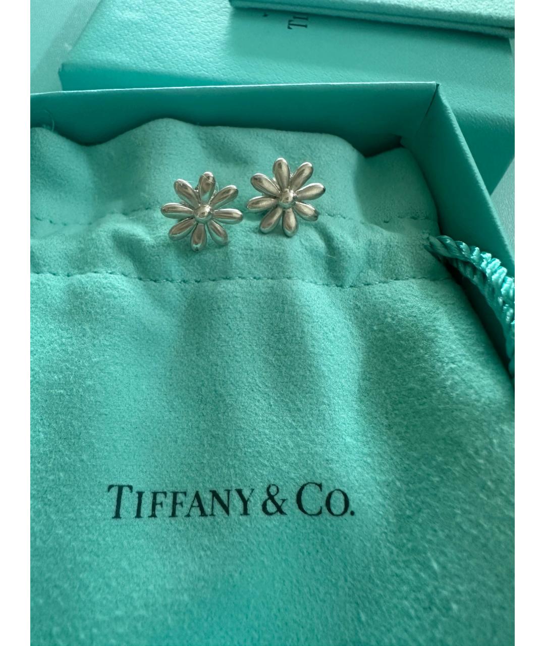 TIFFANY&CO Серебряные серебряные серьги, фото 7