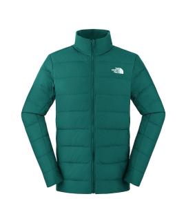 THE NORTH FACE Пуховик