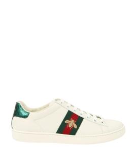 GUCCI Кеды