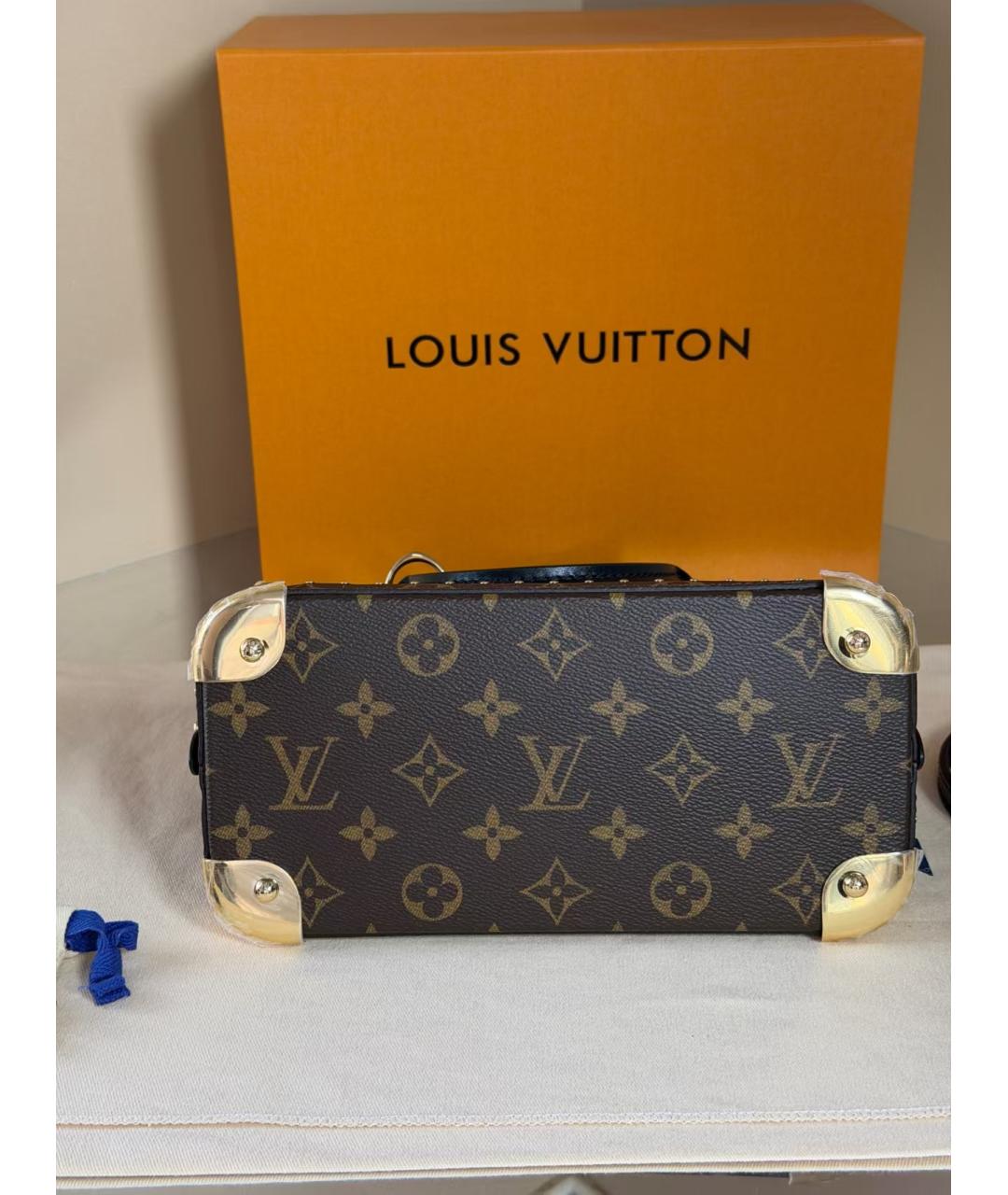LOUIS VUITTON Коричневая сумка через плечо, фото 4